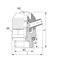 Entlüftungsventil mit O-Ring