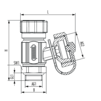 SFE valve with handwheel control