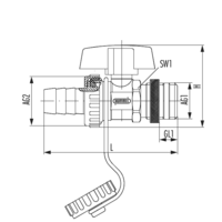 FE-Hahn