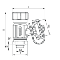 SFE valve with handwheel control