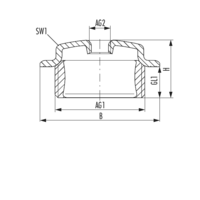 Radiator connection plug