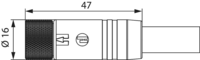 M12 Power moulded – coding L – cable connector, Circular Connector, Connector, M12, Power