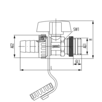 FE-Hahn