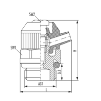 Entlüftungsventil mit O-Ring