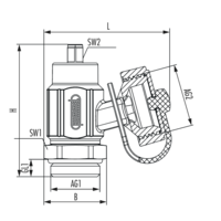 SFE valve