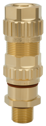 EXIOS +Standard Messing blank