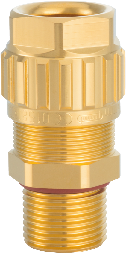 EXIOS +A2F brass blank, Cable Gland, EXIOS