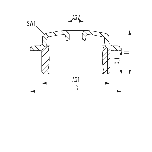 Radiator connection plug