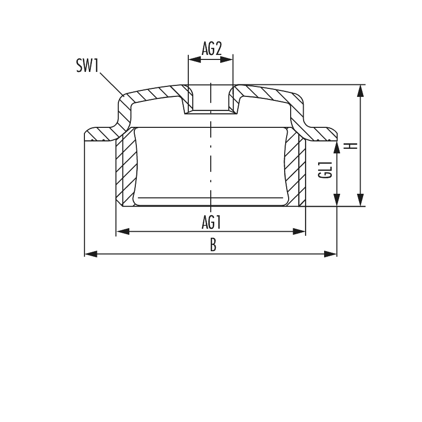 Radiator connection plug