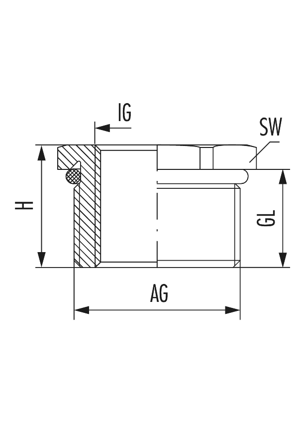 Reduzierung RSD-INOX-Ex d mit O-Ring, Kabelverschraubung
